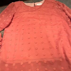 Elegant Pink Textured  Swiss Dot Feminine Women's Blouse 💞